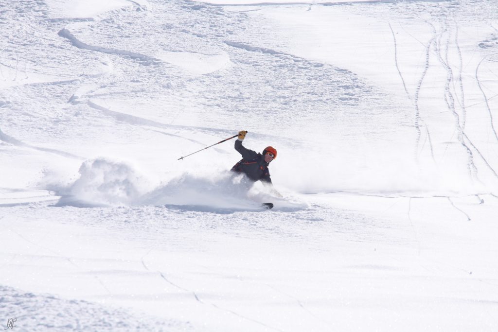 pivot your business as a skier does